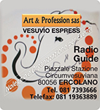 artprofessional